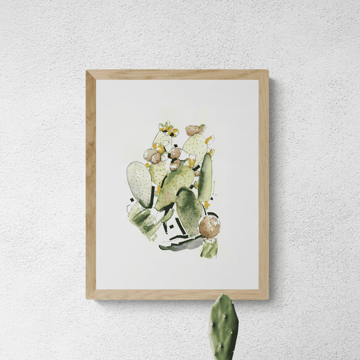 SERIE DI CACTUS 07.1 ORIGINAL